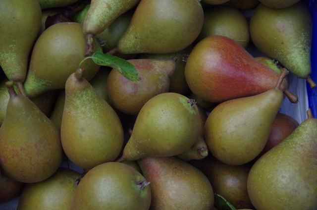 bristol cross pears