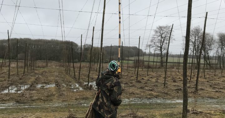 learning to string a hop garden